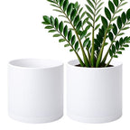 D'vine Dev 2-Pack White Plastic Planters with Saucers, 10 in, 74-Z-N-1 by DvineDevPlanterPotsandStand
