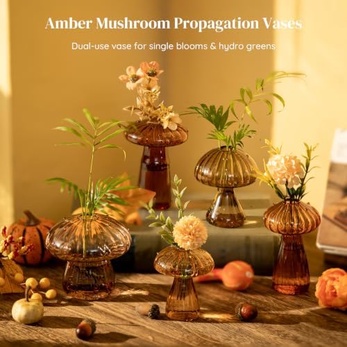 Glasseam Mushroom Plant Propagation Station, 10Pcs Small Glass Vases Bulk - Image 2