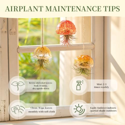 Glasseam Fall Glass Jellyfish Decor, 3Pcs Hanging Air Plant Holders - Image 4