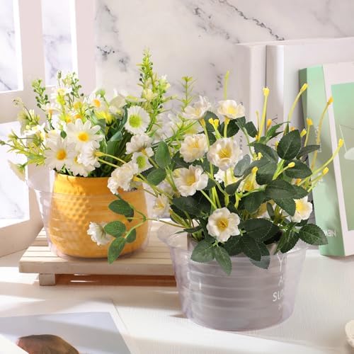 Hoolerry 15 Pcs Plastic Plant Saucer Clear Deep Tray, 6, 8, 10 Inch - Image 4