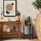 D'vine Dev Ceramic Pot with Ebony Wood Stand, Grey, 10 in, 55-B-L-3 - Image 4