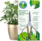 Pothos Prop and Grow Bundle - Image 6