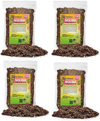 Gardenera Nolina Potting Mix - Unlock Robust Growth and Striking Structure with Our High-Performance Formula - 20 Quart by Gardenera