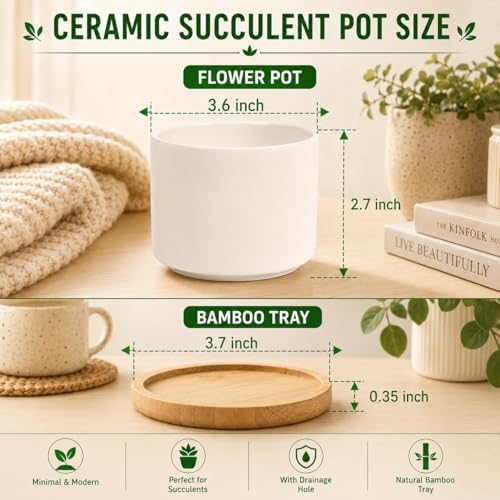 ZOUTOG 8 Pack 3.6" Ceramic Succulent Pots,White Planter with Drainage Tray - Image 2