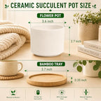 ZOUTOG 8 Pack 3.6" Ceramic Succulent Pots,White Planter with Drainage Tray - Image 2