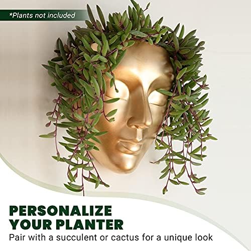 Face Wall Planter | 7 Colors Available | Unique Head Planter for Indoor Wall Decor | Perfect as a Succulent Wall Planter or Cactus Planter - Calma Design, Gold - Image 5