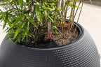 Lechuza Puro Color 50 Slate, Self-Watering Large Round Planter, D19.7 H15.4 in - Image 7