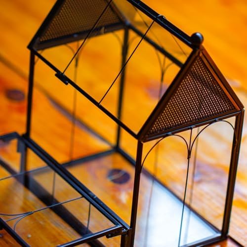 NCYP Small Glass Terrarium Enclosure with Mesh for Jumping Spiders, Micro House Shaped Small Spiders Vented Glass Terrarium, Home Decor Black, 5.8" x 3.8" x 7" (No Plants) - Image 6