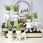 White Ceramic Man, Woman, Boy and Girl People Shaped Planters with Live Tillandsia Air Plants - 3.5"-4.75" Potted Indoor Air Plants for Home and Office Decor - Image 2