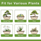 Ceramic Bonsai Pots - 13.2 Inch Succulent Planters for Indoor Plants Outdoor, Bonsai Tree Pots with Drainage Hole, Decorative Shallow Planter, Room Decor, Gifts for Men Women, Oval Beige-Brown - Image 7