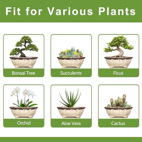Ceramic Bonsai Pots - 13.2 Inch Succulent Planters for Indoor Plants Outdoor, Bonsai Tree Pots with Drainage Hole, Decorative Shallow Planter, Room Decor, Gifts for Men Women, Oval Beige-Brown - Image 7