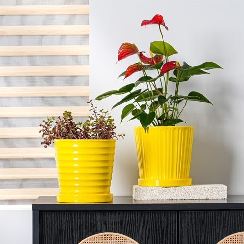 Ton Sin Plant Pots, 6 Inch Flower Pots for Plants,Ceramic Planter with Drainage Holes,Indoor Planter Pots with Saucer,Outdoor Garden Pots (Yellow, 4 Pack) - Image 5