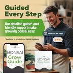 HOME GROWN 6 Bonsai Tree Starter Kit, Indoor Growing & Christmas Gift - Image 4