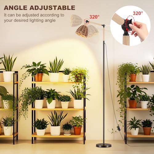 Grow Lights for Indoor Plants Full Spectrum, Plant Lights for Indoor Growing with 30W 4000k, 24H Timer, Standing Tall Grow Lamp for Middle Large Plants(72'', Height Adjustable) - Image 2