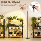 Grow Lights for Indoor Plants Full Spectrum, Plant Lights for Indoor Growing with 30W 4000k, 24H Timer, Standing Tall Grow Lamp for Middle Large Plants(72'', Height Adjustable) - Image 2