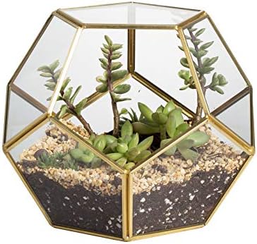 NCYP No Door Glass Terrarium for Small Cactus, Succulents - Gold Geometric Terrarium Pot, Home Office Tabletop Miniature Garden Decor, 6.8 x 6.8 x 5.9 Inches, Handmade (No Plants) by NCYP
