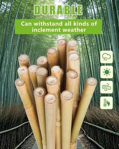 Natural Bamboo Plant Stake（7FT 15Pcs 3/4"） Sturdy Bamboo Poles, Durable Plant Bamboo Stake, Garden Climbing Plant Bracket. - Image 2