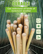 Natural Bamboo Plant Stake（7FT 15Pcs 3/4"） Sturdy Bamboo Poles, Durable Plant Bamboo Stake, Garden Climbing Plant Bracket. - Image 2