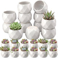 24 Pack 2.5 Inch Small Succulent Pots, White, Fashion by Acellegic