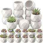 24 Pack 2.5 Inch Small Succulent Pots, White, Fashion by Acellegic