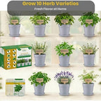 47 PCS Herb Garden Seeds Starter Kit, 10 Non-GMO Culinary Herb Seeds with White Pots & Planters for Windowsill, Herb Growing Kit Indoor & Outdoor, Unique Herb Garden Gift Set for Gardening Lovers - Image 2