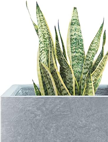 Kante Small Square Blue Gray Concrete Planter 10" W, Outdoor - Image 3
