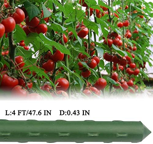 Sunnyglade 25 PCS 48" Plant Stakes Garden Tomato Sticks for Outdoor Plants - Image 3