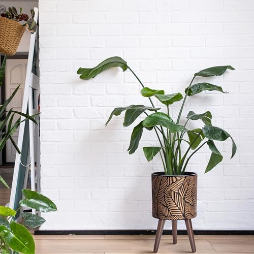 D'vine Dev 10 Inch Planter Pot with Wood Stand, Bronze/Grey, 88-L-B-6 - Image 2