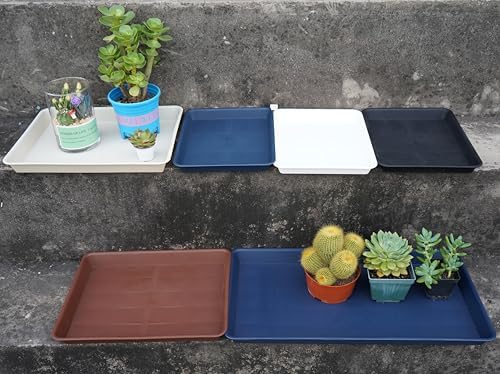 VUWEZ 2 Pack Plant Growing Nursery 1020 Trays, Plant Saucer Tray, Heavy Sturdy Seed Starting Trays, Plant Starter Trays for Indoors No Holes, Seed Starter Growing Tray (22"x11.2", Blue) - Image 4