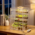 Novabright Mini Greenhouse Indoor with Grow Light Clear Acrylic Plant Cabinet, Tabletop Indoor Greenhouse Kit DUSB White & Warm Light for Succulents, Herbs(with Dividers) - Image 6