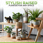 23 Bees Mid-Century Modern Ceramic Planter with Plant Stand Indoor Decorative Plant Pot with Stand in Earthy Beige and White Glaze, Black Metal Stand (Large 16 inch plant pot, Three sizes) (Small) - Image 7