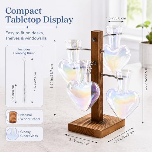 Nacome Plant Terrarium Propagation Stations: Clear Vase with Wooden Stand - Image 4