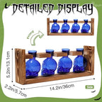 Plant Propagation Stations Halloween Skull Plant Terrarium Kit - Image 4