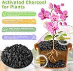 Legigo 8 QT Horticultural Charcoal- Natural Biochar Soil Amendment - Image 3