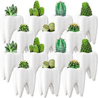 Tooth Shaped Flower Pot Dental Pots Ceramic Modern Style Teeth Pots White Cactus Bonsai Planter Container Small Cute Succulent Plant Pot for Dentists Gift Home Office Decoration, 3.9 Inch (14 Pcs) by Yuxung
