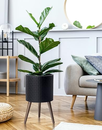 D'vine Dev Planter Pot with Wood Stand, 12 in, Matte Black, 88-Z-C-2 - Image 6