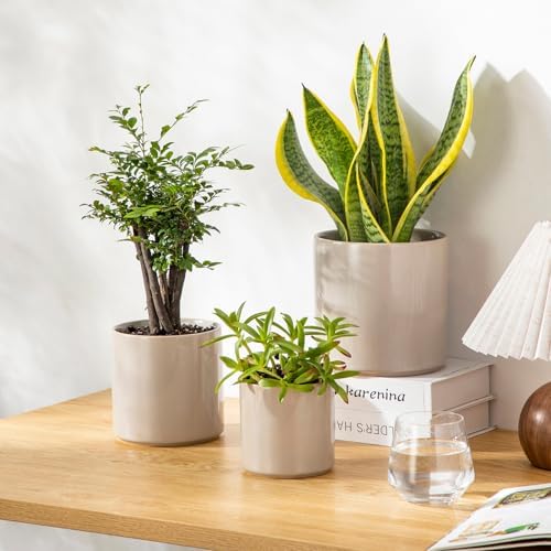 vancasso Ceramic Plant Pots, 4.25+5.25+6.25 Inch Planter Pot with Drainage Hole, Flower Pots for Indoor Outdoor Plants, Set of 3, Grey - Image 4