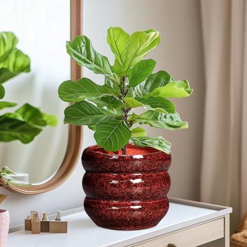 SQOWL Ceramic Flower Pots - 8 Inch Planter for Indoor Plants, Ceramic Plant Pot with Drainage Hole, Bubble Round Planter for Outdoor Plants, Office Home Desk Decor, House Warming Gifts, Red - Image 6