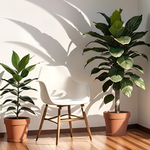 Maxdot 2 Pack 10 Inch Large Terracotta Pots with Saucer Terra Cotta Pots - Image 4