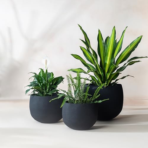 FAB HAB Eden Handmade Round Metal Planters in Midnight Finish – Set of 3 (13”, 15", 18”), Indoor/Outdoor, Lightweight with Drainage Holes by FabHabitat