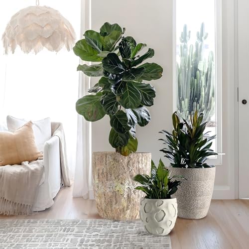 Round Concrete Style Planter Set of 3, Large Outdoor Flower Pots with Drainage, Stone Texture Plant Pots for Indoor Outdoor Garden, Patio & Balcony Décor (3, Sandstone) - Image 4