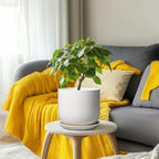 Ceramic Plant Pot - Modern 8 Inch Round Planter for Indoor Outdoor Plants with Drainage Hole and Saucer, Home House Room Office Decor, White - Image 6