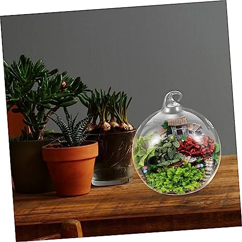 2pcs Glass Hanging Globe Terrarium for Succulents and Plants - Image 6