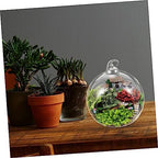 2pcs Glass Hanging Globe Terrarium for Succulents and Plants - Image 6