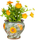 Sungmor 9 Inch Hand Painted Ceramic Succulent Plant Pots - Green & Daisy by Sungmor