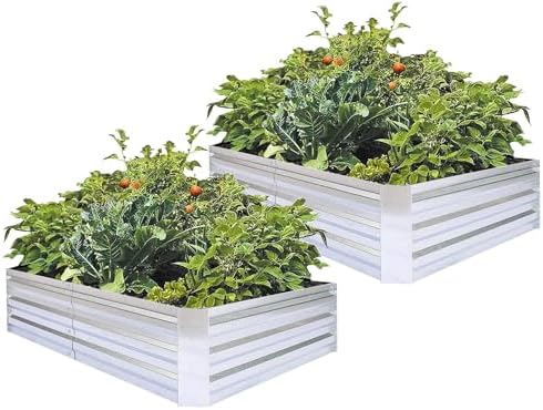 Galvanized Raised Garden Bed 6x3x1ft 2-Pack by FOYUEE