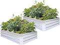 Galvanized Raised Garden Bed 6x3x1ft 2-Pack by FOYUEE