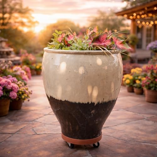 DeVaultEnterprises Devault 12 Inch Plant Dolly Multi-Pack, Heavy Duty Rolling Plant Caddy with Wheels for Large Pots and Planters, 500 lb Capacity, Made in USA (4, Espresso/Hole) - Image 3