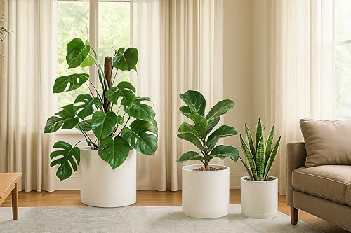 D'vine Dev 3-Pack Plastic Pots & Saucers, 8/10/12 in, Oatmeal, 74-V-H-5 - Image 6