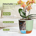 QCQHDU 2 Pack 7.2 Inch Orchid Pots with Holes for Repotting, Double-Layer and Self Watering Orchid Pot with Good Air Circulation - Image 4